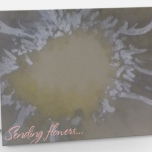 Kind of a thinking of you on any or no occasion note card. Blank inside or with a message.