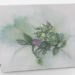 Spring Branch note card pack of 10 with envelopes