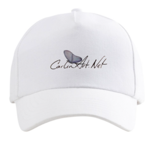 Carlin Art butterfly hat