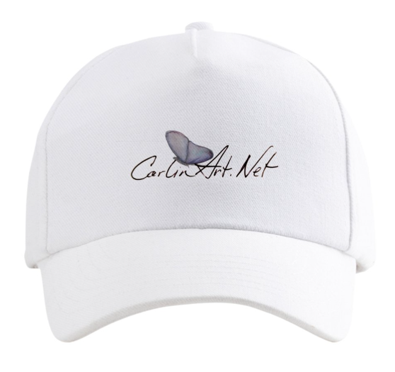 CarlinArt.Net Butterfly hat-image